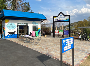 サンプルイメージ