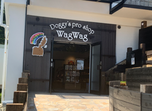 サンプルイメージ